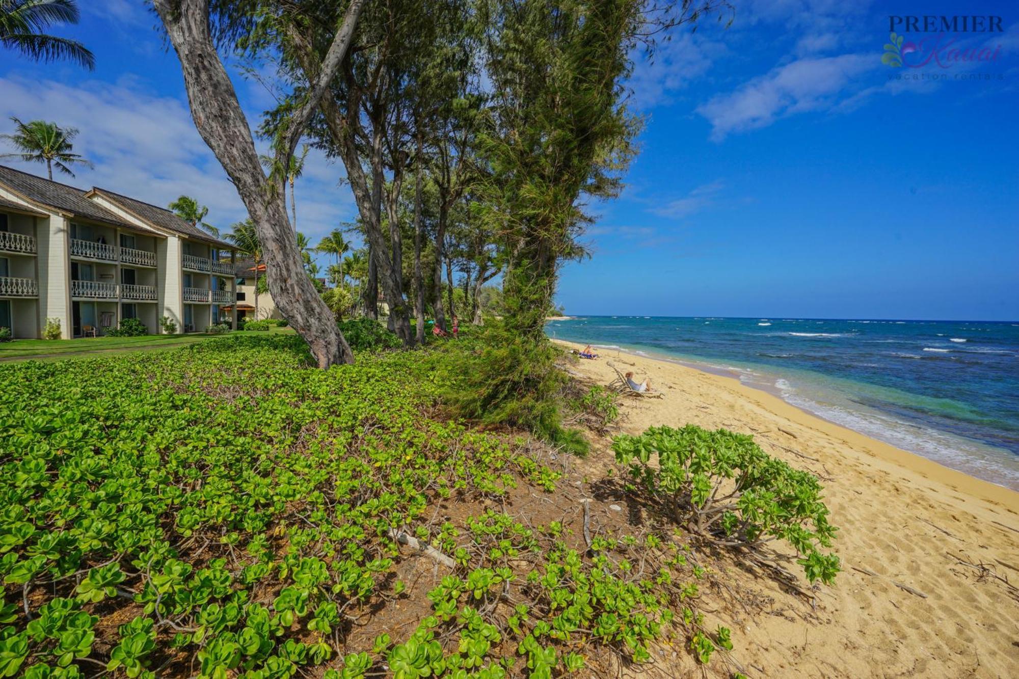 Seaview At The Islander On The Beach Oceanview Studio 201 Kapa'a Exterior photo